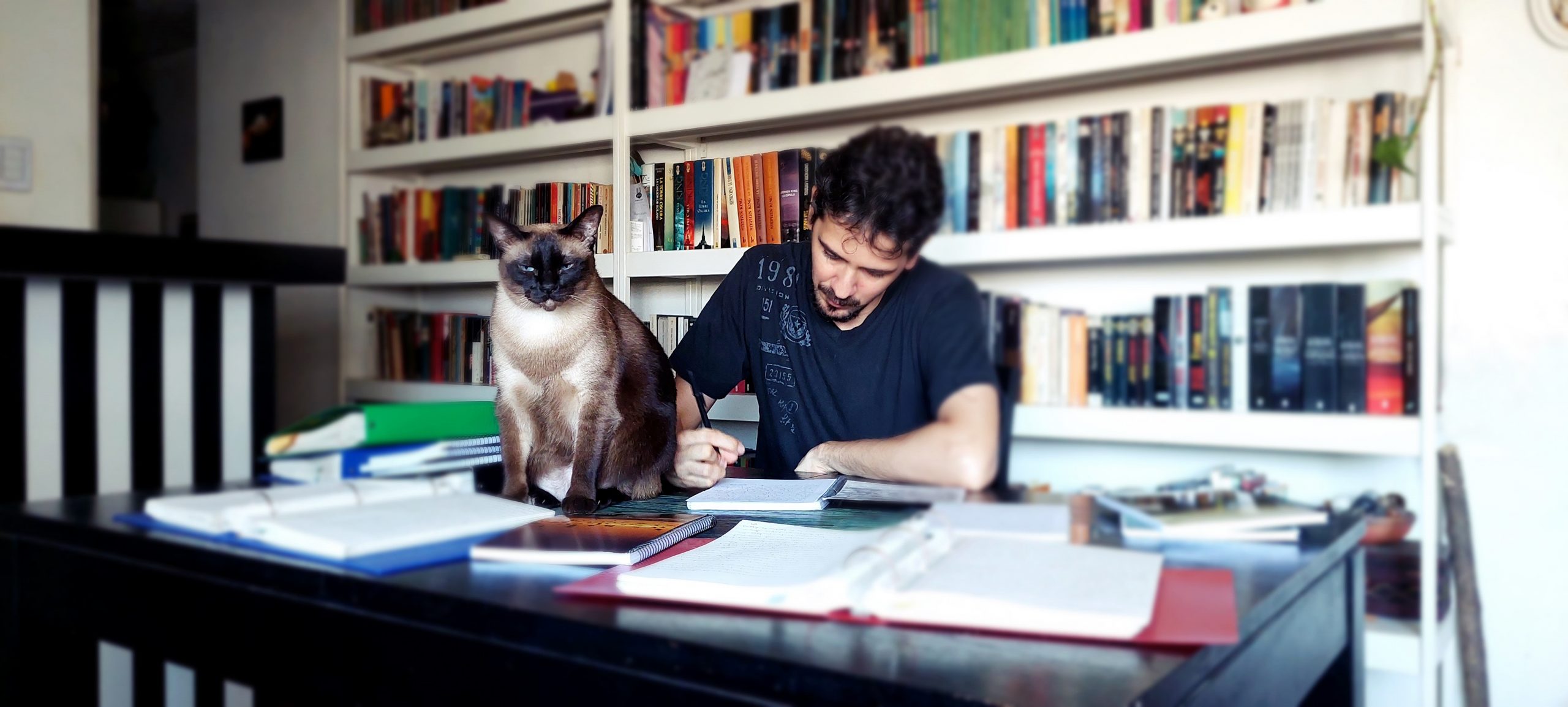 foto para biografía scaled